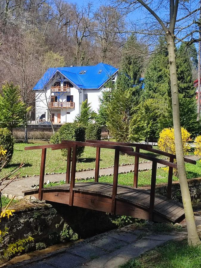 Hotel Parc Geoagiu Băi Exterior foto